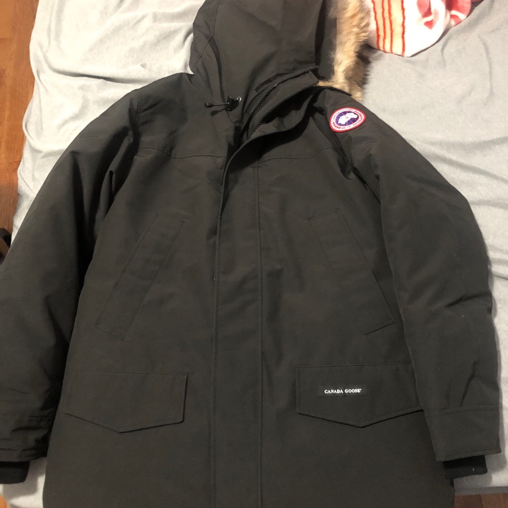 Canada goose